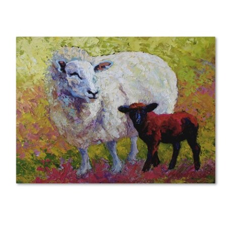 Marion Rose 'Moms Love Sheep' Canvas Art,18x24